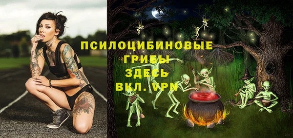 дживик Нефтекумск