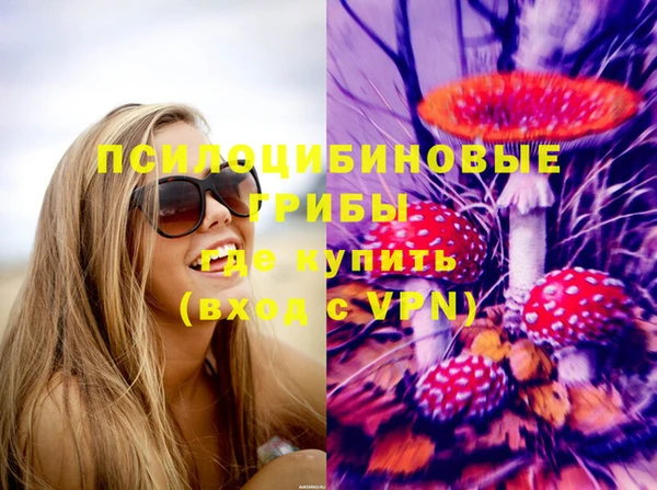 дживик Нефтекумск