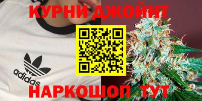 гашик Ирбит