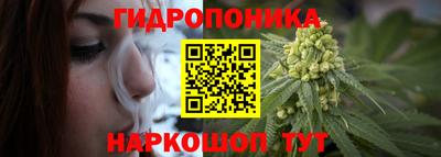гашик Ирбит