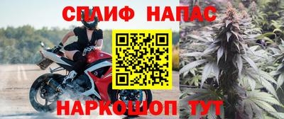 гашик Ирбит