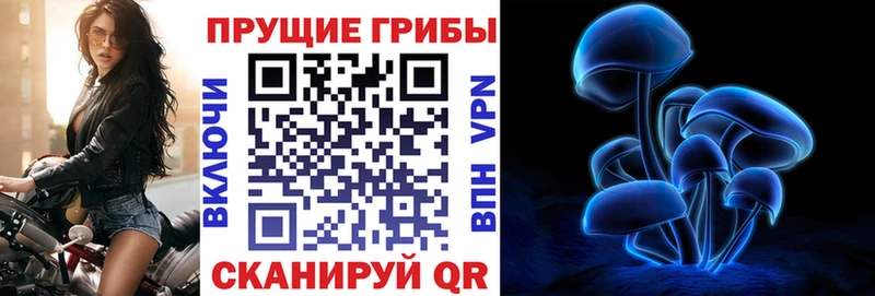 ОМГ ОМГ   дарнет шоп  Мурино  Галлюциногенные грибы прущие грибы 