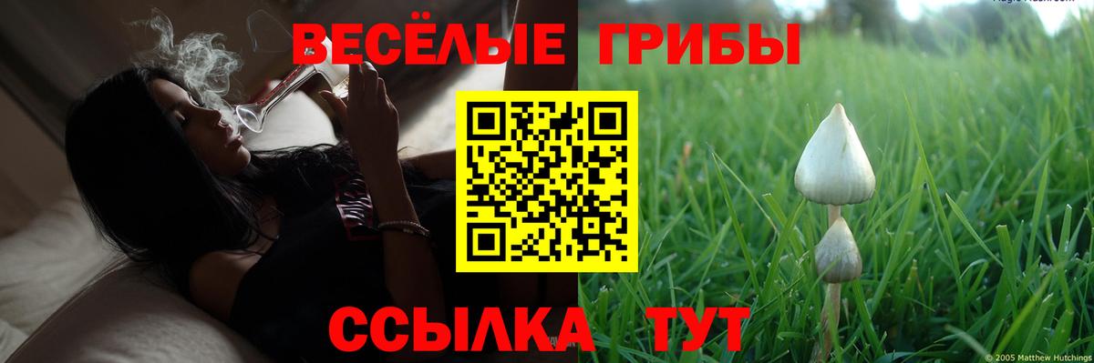 Мурино  Псилоцибиновые грибы прущие грибы  Псилоцибиновые грибы Psilocybine cubensis  Вход с VPN 